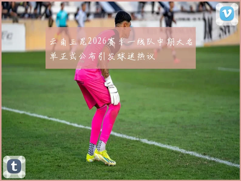 云南玉昆2026赛季一线队中期大名单正式公布引发球迷热议